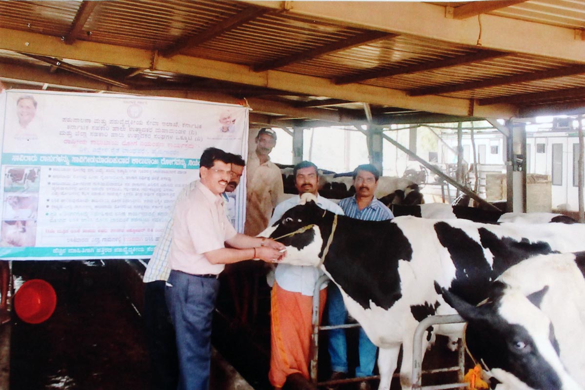 ಜಾನುವಾರುಗಳಿಗೆ ಕಾಲುಬಾಯಿ ಜ್ವರ ಲಸಿಕೆ ಹಾಕಿಸಿ: ಡಾ. ಎಸ್.ಕಲ್ಲಪ್ಪ